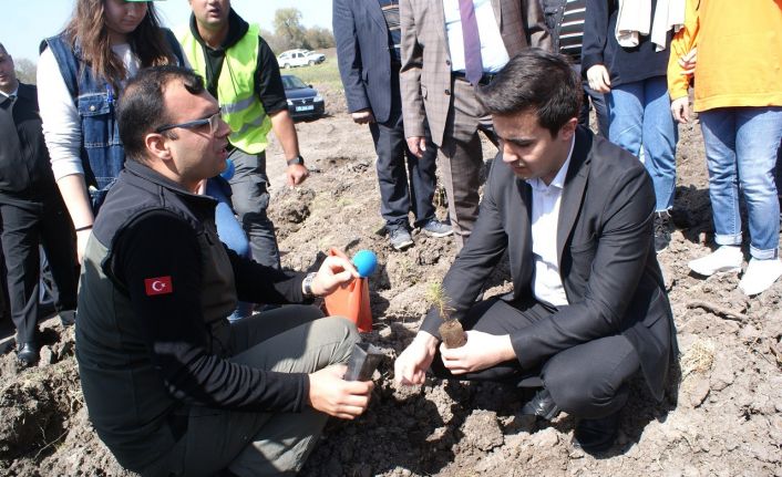 Şehit ve Gaziler için fidan dikildi