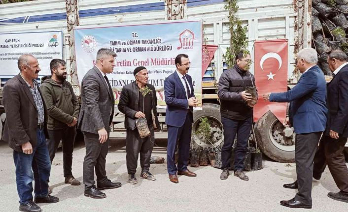 Siirt’te bin 700 dekar üzerine ’Siirt fıstığı’ ve ’Trabzon hurması’ dikimi yapılacak