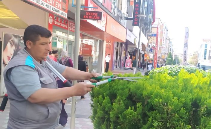 Sincan’da ağaçlar budanıyor, çocuk oyun alanlarının gerekli bakımları yapılıyor