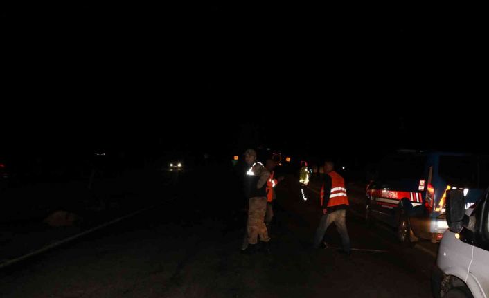 Siverek’te tanker koyun sürüsüne daldı: 22 koyun telef oldu, çoban yaralandı