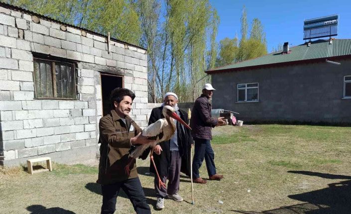 Tedavisi tamamlanan leylek doğaya bırakıldı