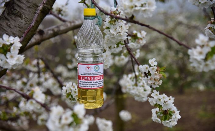 Üreticinin biyoteknik mücadelesine destek