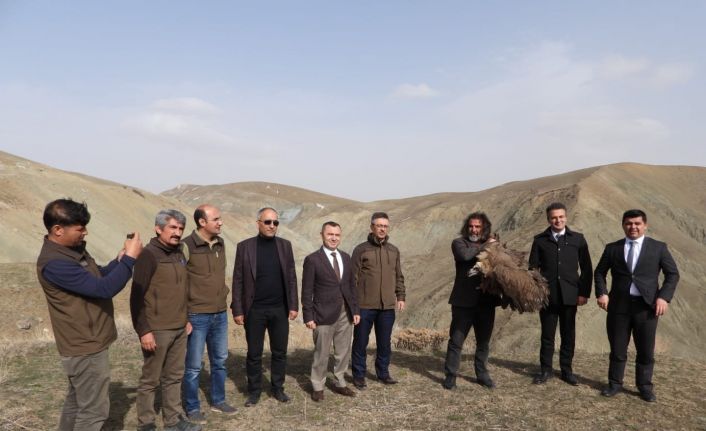 Van’da tedavi edilen yırtıcı kuşlar doğaya bırakıldı