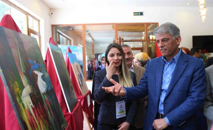 10 ülkeden gelen ressamlar Ilgaz Dağı’nda buluştu: Ortaya çıkan eserler mest etti