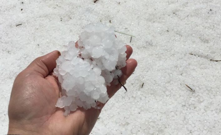 15 dakika etkili oldu, onlarca dönüm alan zarar gördü