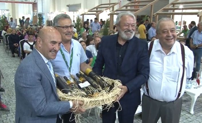 1800 yıllık ağaçtan elde edilen zeytinyağı müzayedede 75 bin liraya satıldı