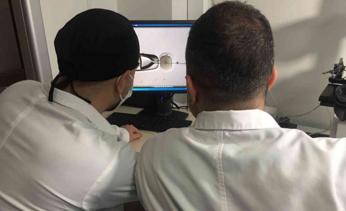 3 boyutlu yazıcı yardımıyla kök hücreden sperm geliştirme çalışmasıyla anne-baba olma umudu