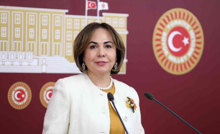 AK Parti’li Yılmaz: "Mersin’de 13 baraj ve 8 gölet inşaatı devam ediyor"