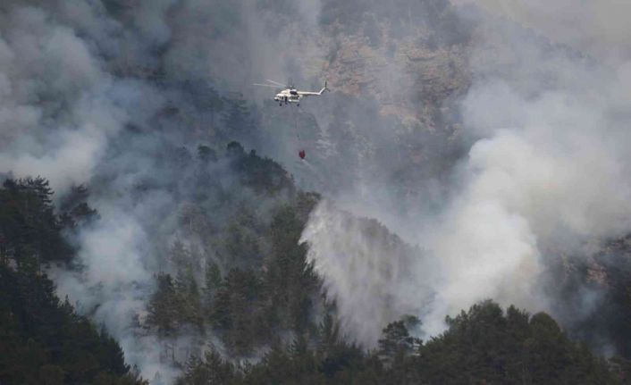 Alanya’daki yangına helikopter, 200 işçi ve 22 arazözle müdahale ediliyor