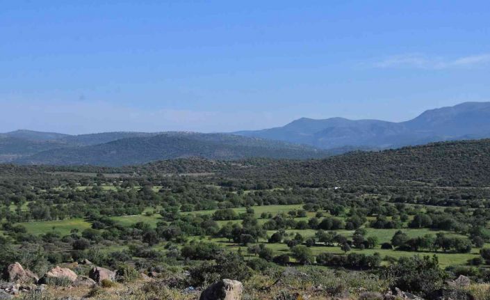 Aliağa Kalabak Mahallesi’nde bin dönümlük arazi suya kavuşacağı günü bekliyor