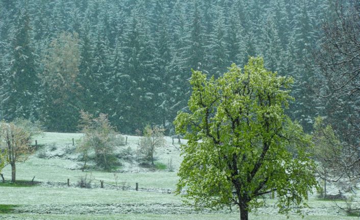 Artvin’in yüksek kesimlerinde kar etkili oldu