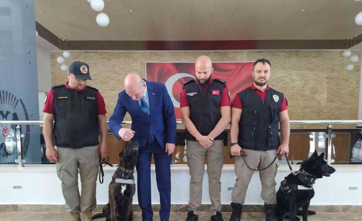 Bakan Soylu: “6’lı masa ‘Canan masası’ oldu”