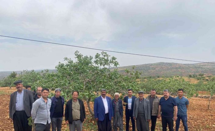 Başkan Sümer: “Bakanlığa afet ihbarında bulunacağız”