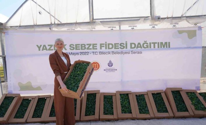Bilecik’te çiftçilere 100 bin domates, biber, karpuz ve patlıcan fidesi dağıtıldı