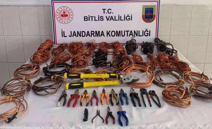Bitlis’te 8 hırsızlık şüphelisi yakalandı