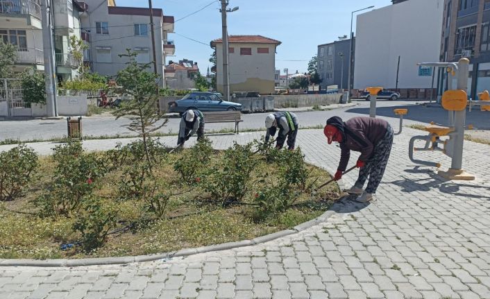 Burhaniye’de yabani otlar temizleniyor