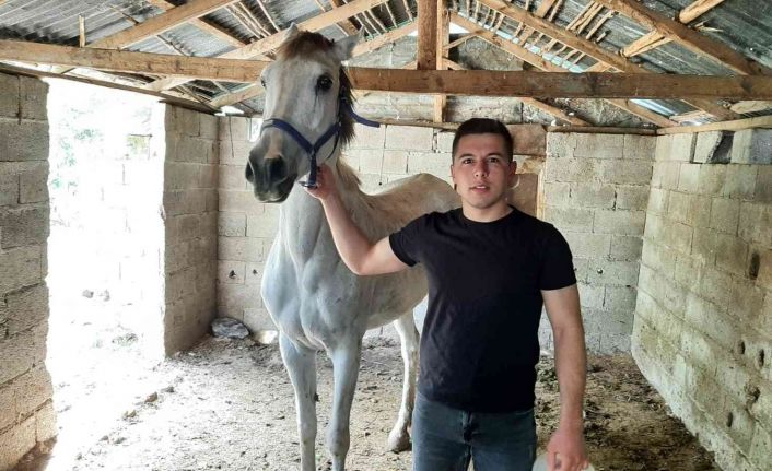 Çocukluk hayali olan yarış atını aldı ona şiirler yazıp okuyor