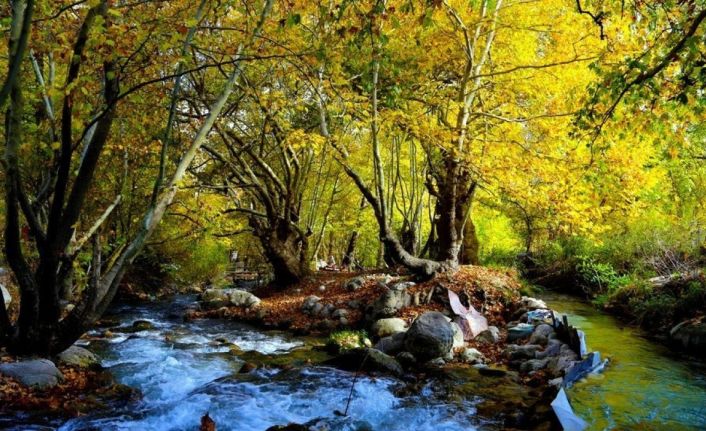 Doğu Anadolu’da en yüksek sıcaklık Kemaliye’de en düşük sıcaklık Erzurum Doğu Anadolu Gözlemevi’nde ölçüldü
