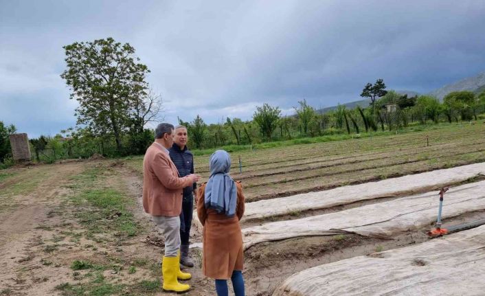 Eğirdir Orman Fidanlık Müdürlüğü 2022 yılında 9 milyon 500 bin adet fidan yetiştirecek