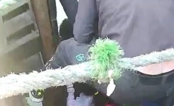 Feribottan inip iskelede dolaşırken denize düşen çocuğu görevli personel kurtardı