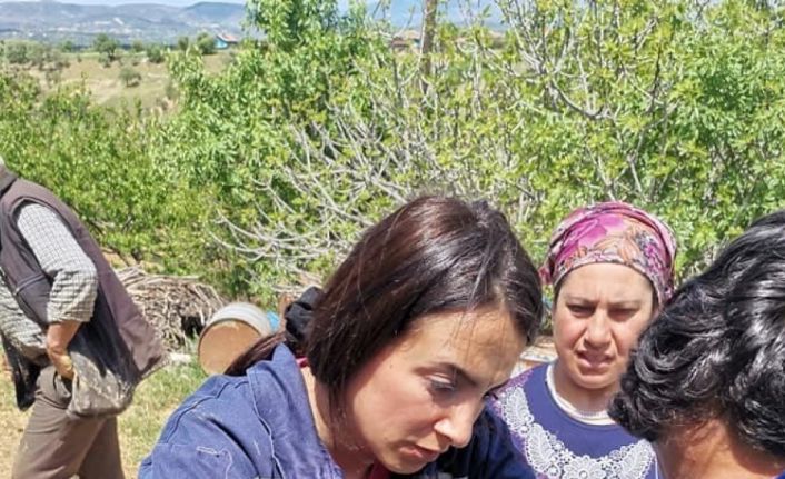 Gediz’de İlçe Tarım ve Orman Müdürlüğü ekiplerinden aşılama ve küpeleme çalışmaları