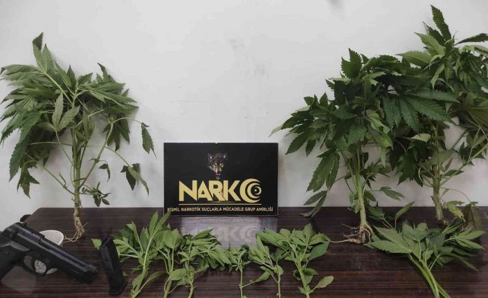 Huzur uygulamasında çok sayıda silah ve uyuşturucu ele geçirildi: 21 gözaltı