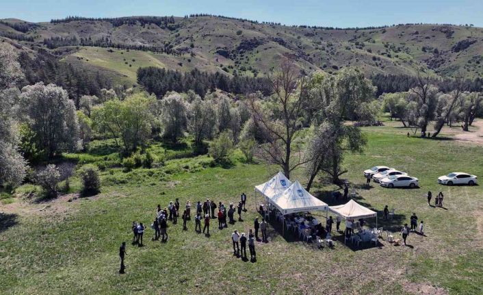 Karaköy Mesire Alanı’ndaki endemik araştırmasında 63 kuş türü kayıt altına alındı