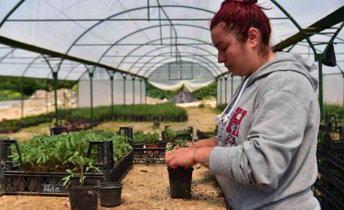 Kuaförlük yaparken çiftçiliğe geçti, 28 yaşında görenleri hayran bıraktı