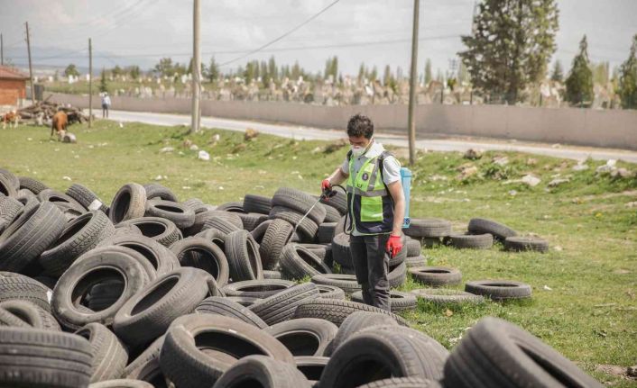 Kütahya’da karasinekle mücadele