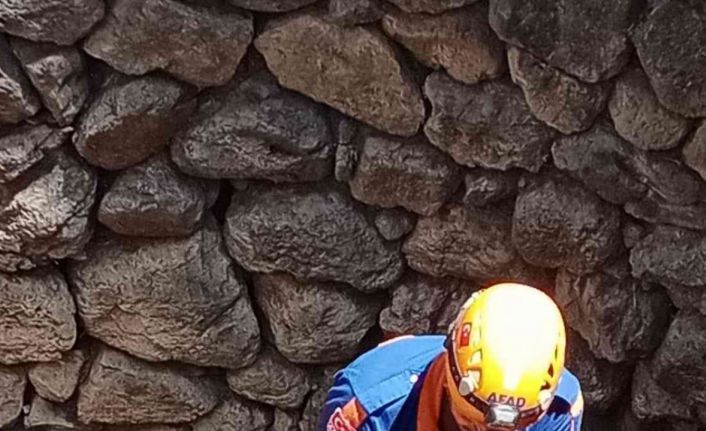 Kuyuda mahsur kalan yavru köpek için AFAD seferber oldu