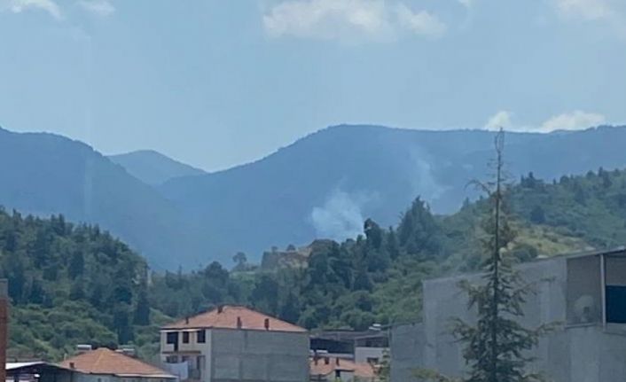 Manisa’da çıkan orman yangınında 1 hektar alan zarar gördü
