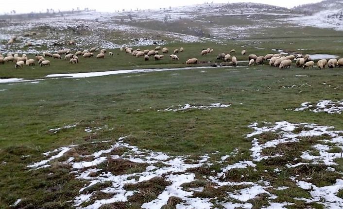 Mayıs ayında kar sürprizi