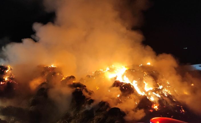 Muğla Milas’ta itfaiye ekipleri faciayı önledi