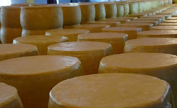 Muş’ta 65 yıllık baba mesleğini sürdüren kardeşler kente yılda 30 milyon lira katkı sağlıyor