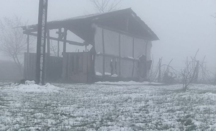 Ordu’da mayıs ayında kar yağışı