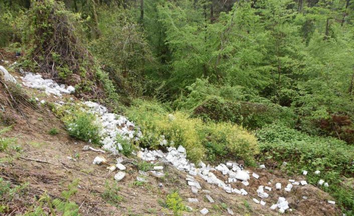 Ormana atılan çöpler tepki çekti