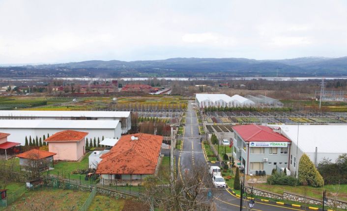 Peyzaj ve süs bitkiciliği için dev adım: 179 dekar alan üretim üssüne dönüştü
