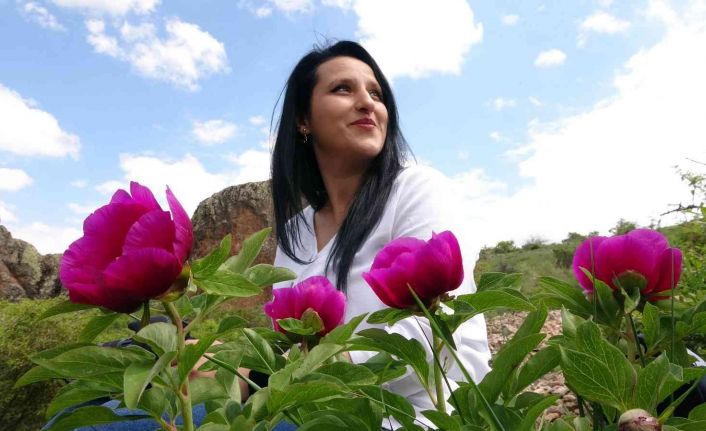 Sadece 15 gün ömrü olan cehrilik lalesi doğayı renklendirdi