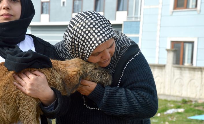 Sakarya’da köpeği ile sahibinin öldürülmekle tehdit edildiği iddiası