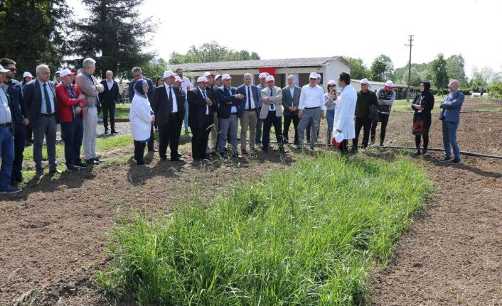 “Samsun, 3-5 yıl içerisinde yem bitkilerinde ülke genelinde söz sahibi olacak”