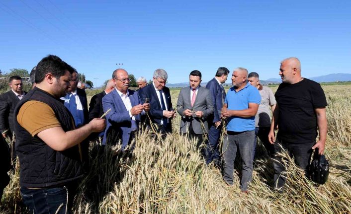 Şiddetli dolu yağışında 40 bin dekar tarım arazisinin zarar gördüğü tespit edildi