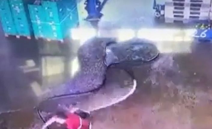 Temizlik yapmak isterken hortumdan gelen ani su ile kendisini yerde buldu