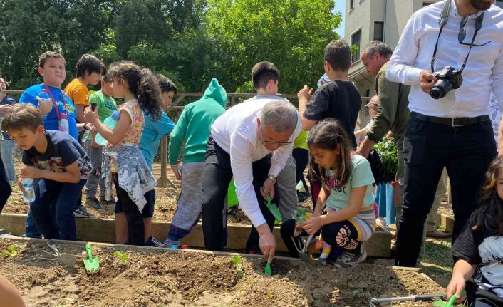 Üsküdar’da fideler toprakla buluştu, ortaya renkli görüntüler çıktı