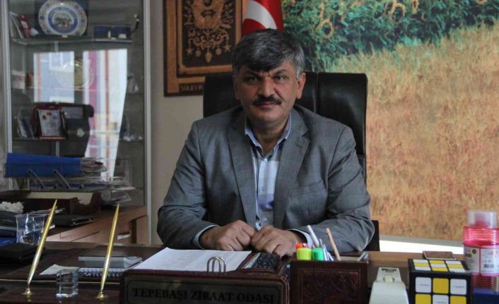 Yağışlar çiftçinin umutlarını yeşertti