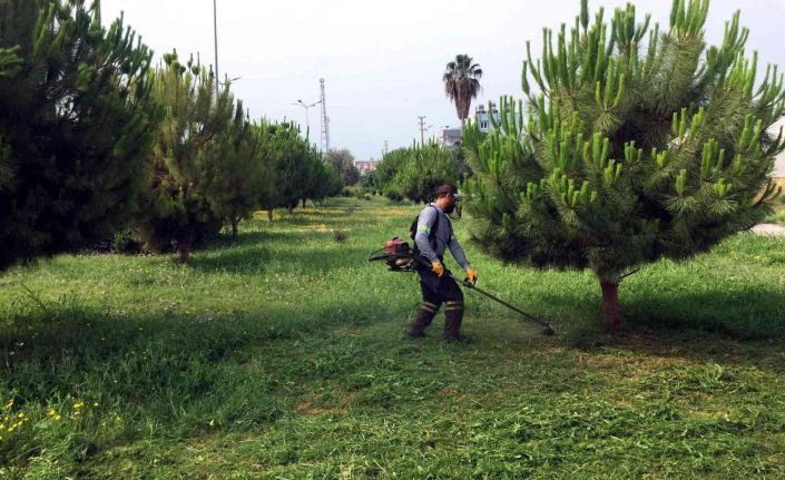 Akdeniz’de park ve yeşil alanlar yenileniyor
