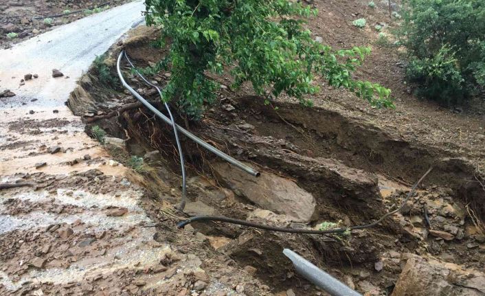 Alaşehir’de bağları, meyve ve sebze bahçelerini dolu vurdu