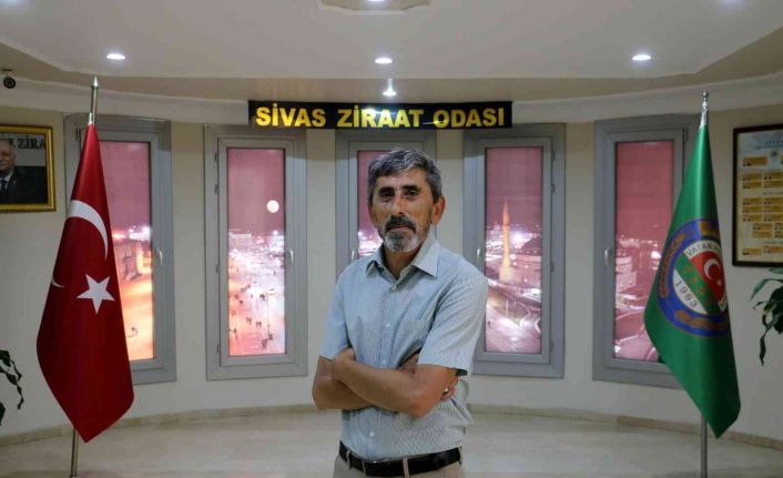 Başkan Çetindağ: "Sel baskınında 30 bin dönüm tarım arazisi hasar gördü"