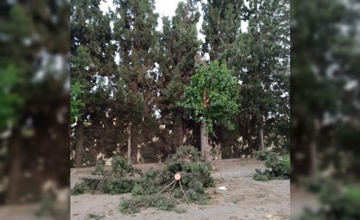 Belediye ekipleri anında müdahale etti, fırtına sonrası Efeler’de hayat normale döndü