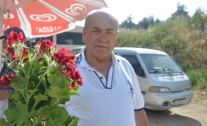 Bilecik’te şarkısıyla ünlü olan ’Ebe Gümeci’ çiçeğine vatandaşlar yoğun ilgi gösteriyor