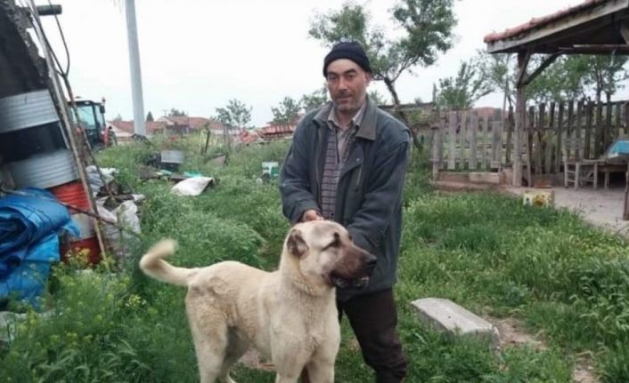 Bir kişinin öldüğü koyun otlatma kavgasında gözaltına alınan baba oğul tutuklandı